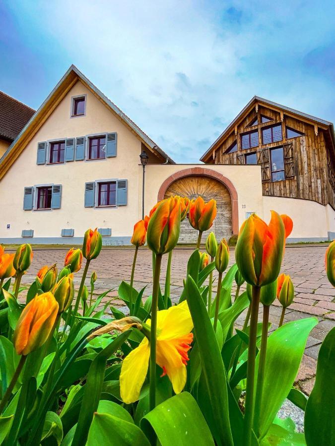 Storchenhof Teningen Luaran gambar